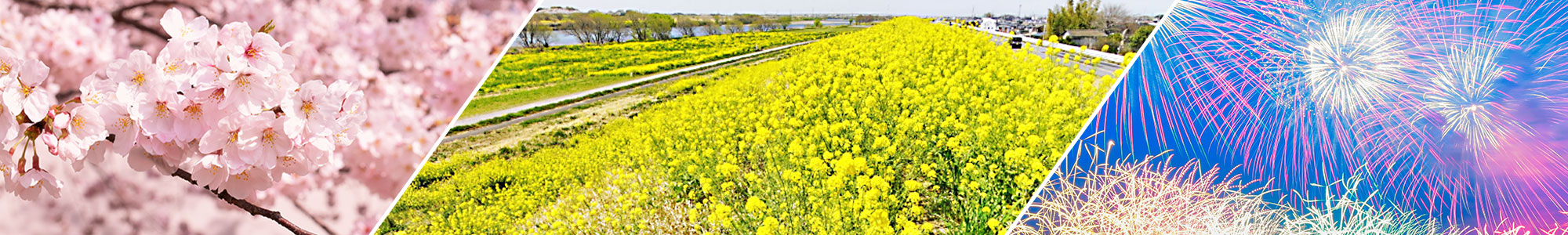 茨城県境町の観光スポット