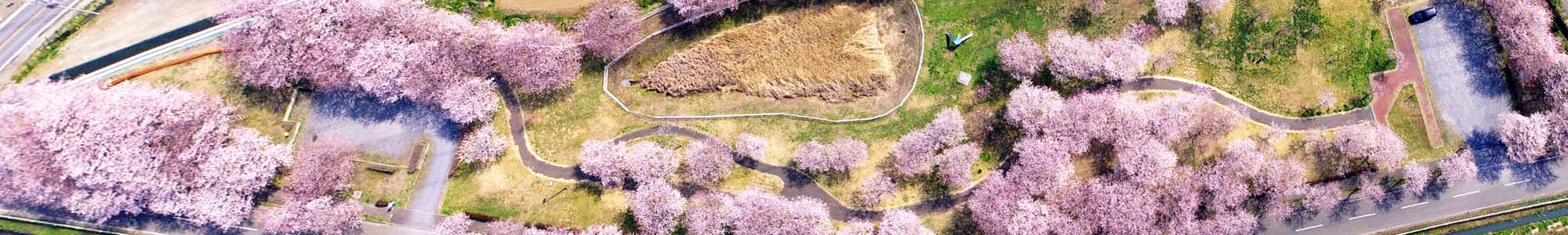 茨城県境町VRツアー