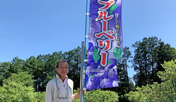 宮田ブルーベリー農園：茨城県境町の果物　収穫体験あり