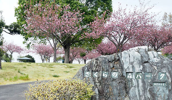 茨城県境町：さくらの森パーク