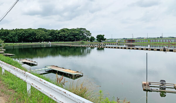 兎谷津へら鮒センター：茨城県境町