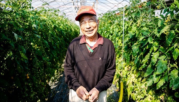 境町のトマト等野菜千三農家の稲葉さん