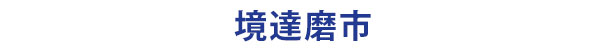 茨城県境町の境達磨市