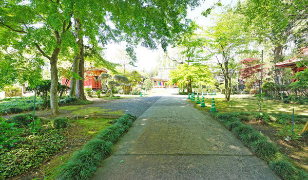 境町の桜の観光スポット：大照院