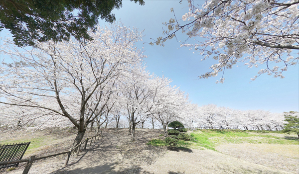 茨城県境町ふれあいの里公園