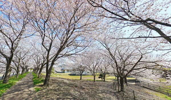 茨城県境町：ふれあいの里公園