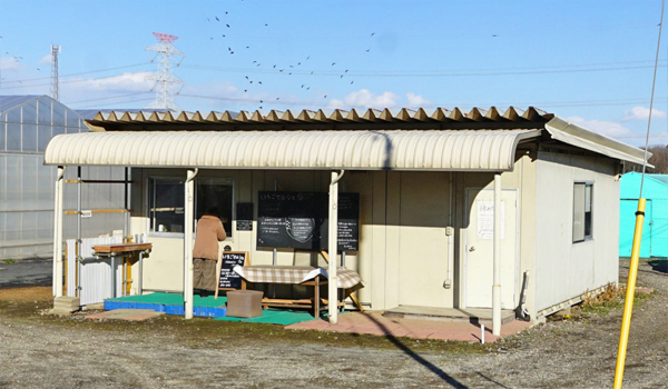 茨城県境町いちごマルシェ