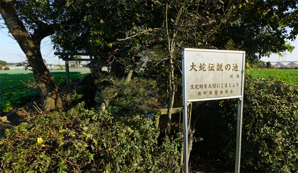 蛇池の大蛇伝説：境町の史跡