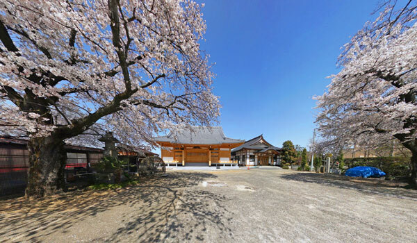 境町の桜の観光スポット：亀形山吉祥院