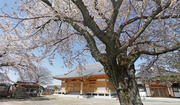 亀形山吉祥院VRツアー