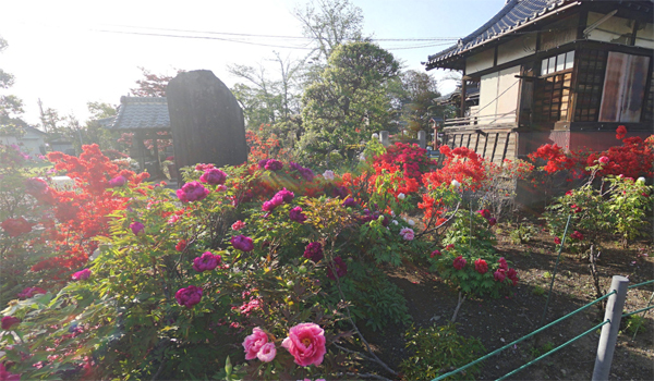 境香取神社(牡丹苑･つつじ)VRツアー