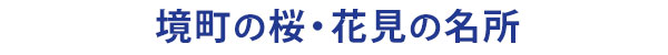 茨城県境町の桜-花見の名所-観光スポット案内