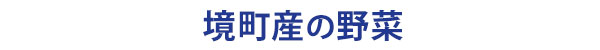 茨城県境町の美味しい特産野菜と生産農家の案内